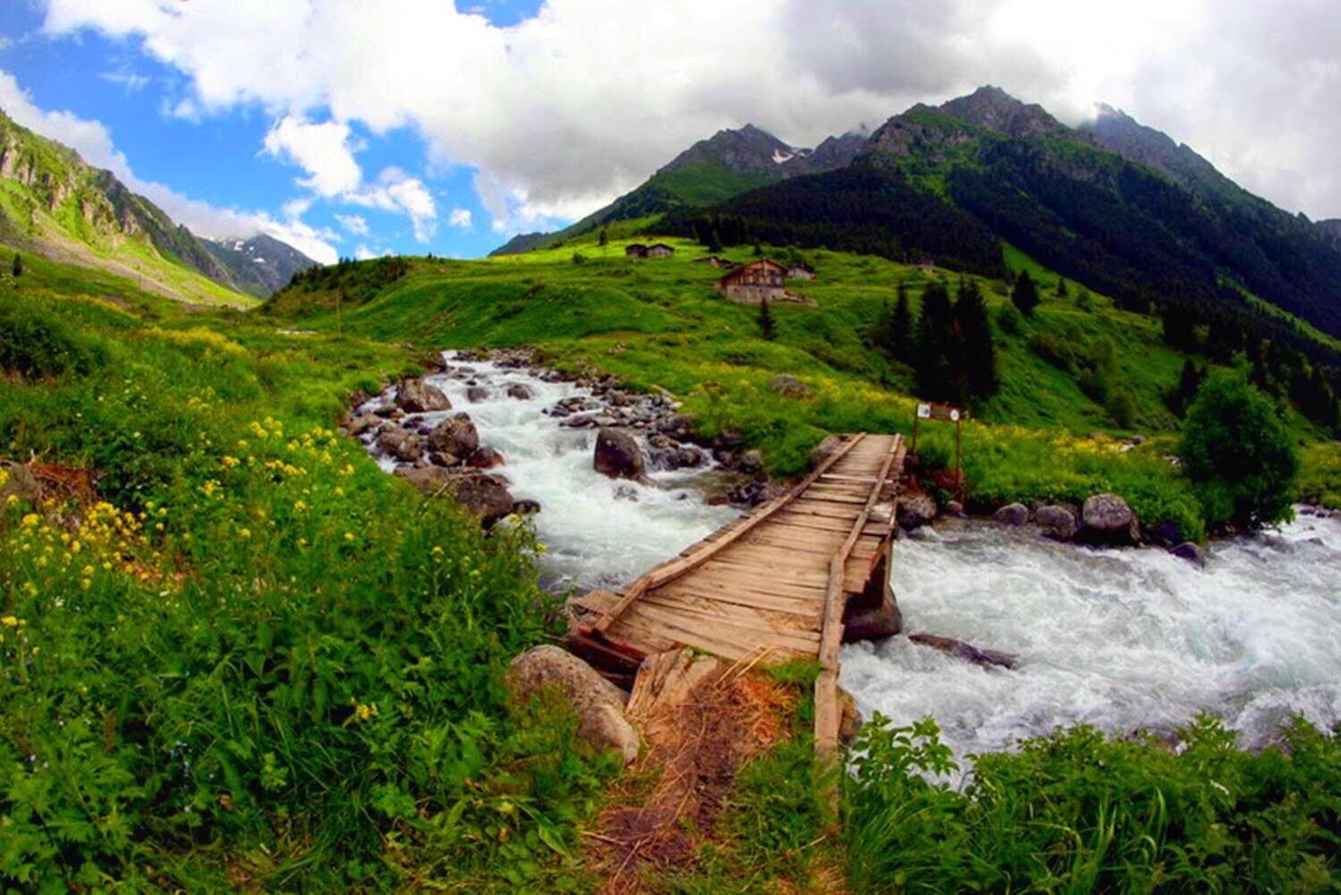 Elevit & Ayder Yaylası Double Tur | Günübirlik Rize Yayla Turu
