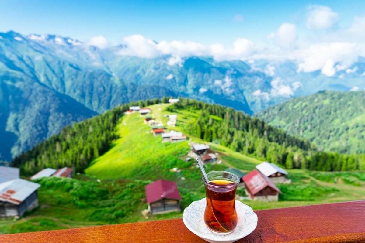 Pokut & Sal Yaylası Turu | Günübirlik